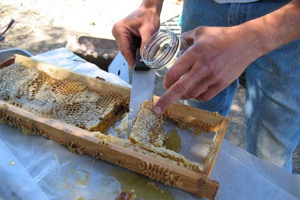 Manuka honeycomb