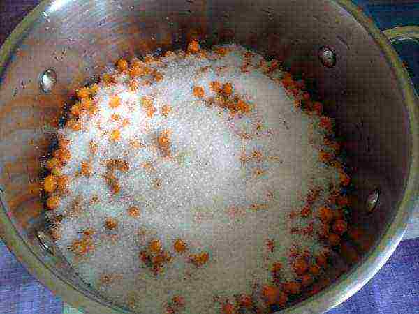 You can store sea buckthorn in sugar and water, frozen or pureed