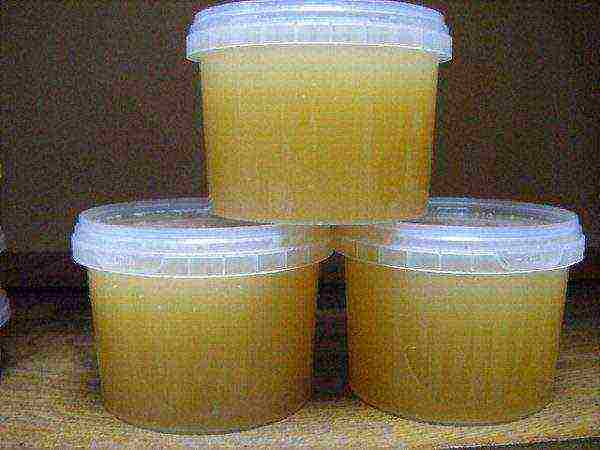 Honey in plastic containers