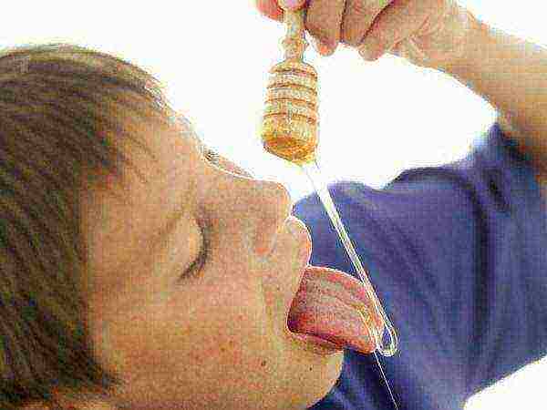 Boy eating honey