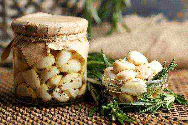 Garlic pickled for the winter in a jar