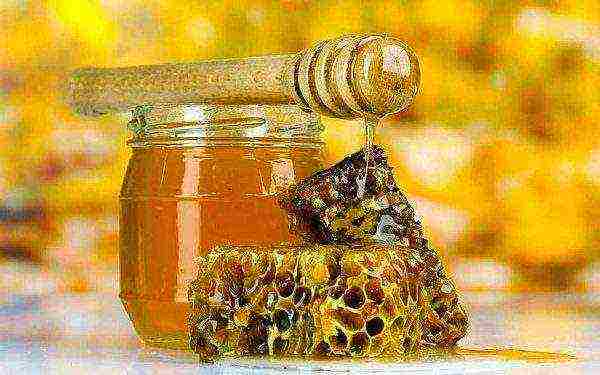 Mountain honey in combs and glass jar