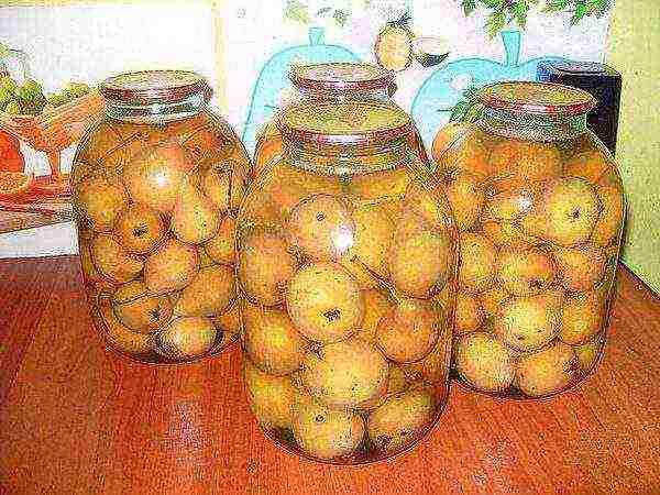 Wild compote ng peras para sa taglamig