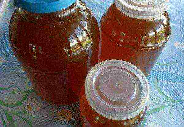 Dark coriander honey in jars
