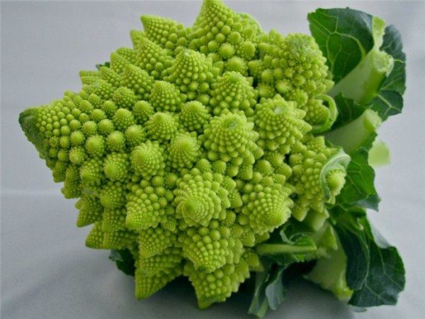 Iba't ibang repolyo Romanesco