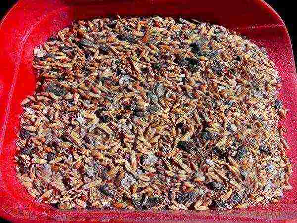 Feed mix for laying hens