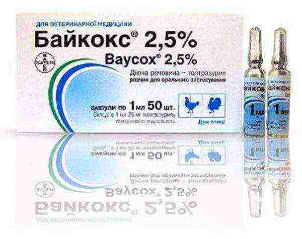 Baykoks 2.5% in 1 ml ampoules