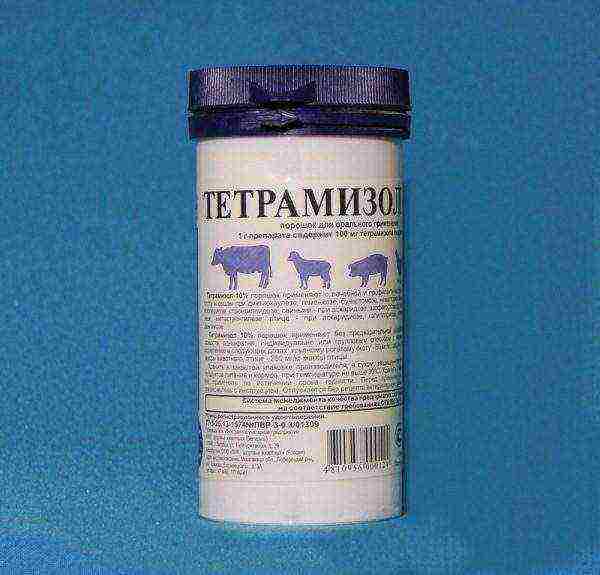 Tetramisole powder