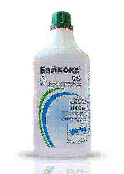 Baykoks 5% in a bottle of 1000 ml