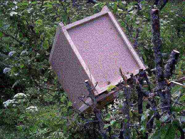 Ready-made bee trap