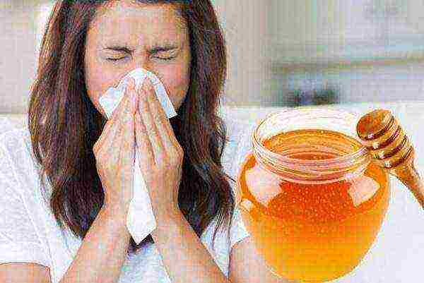 Drinking honey for colds