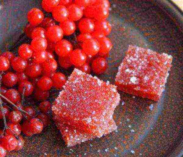 Natural homemade viburnum and apple marmalade