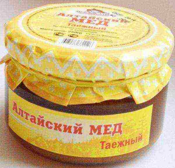 Packaged taiga honey in a glass jar
