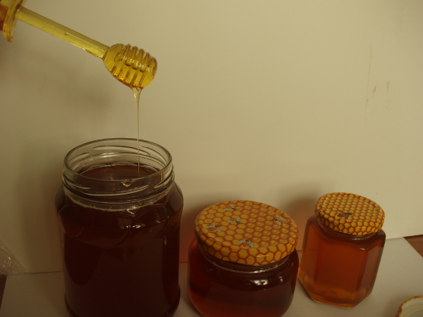 Coriander honey in glass jars