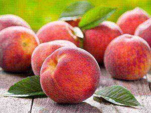 Peaches are an excellent source of vitamin K and iron, which help support heart health