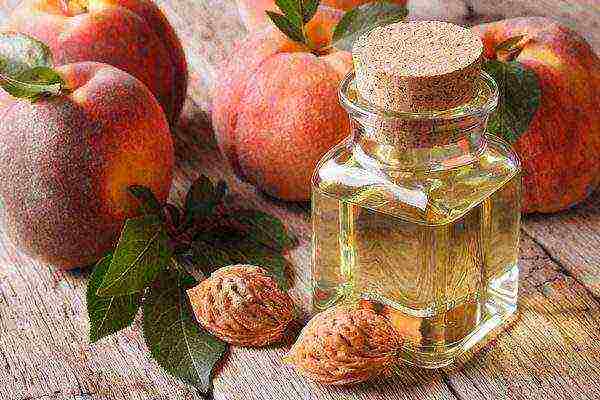 Peach oil recovers dead skin particles and gives hair extra moisture