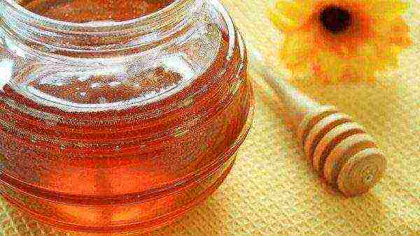 Esparcet honey in a glass jar