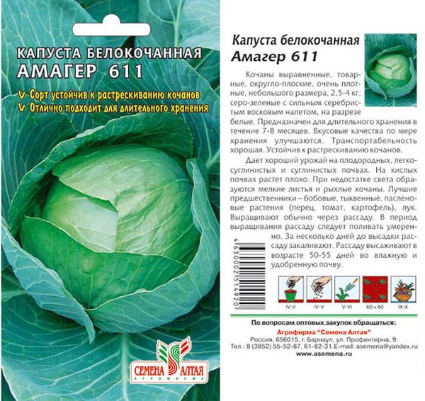 Amager cabbage seeds