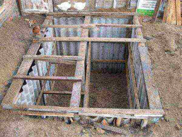 Organization of a rabbit pit