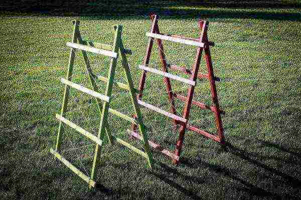 Portable trellis