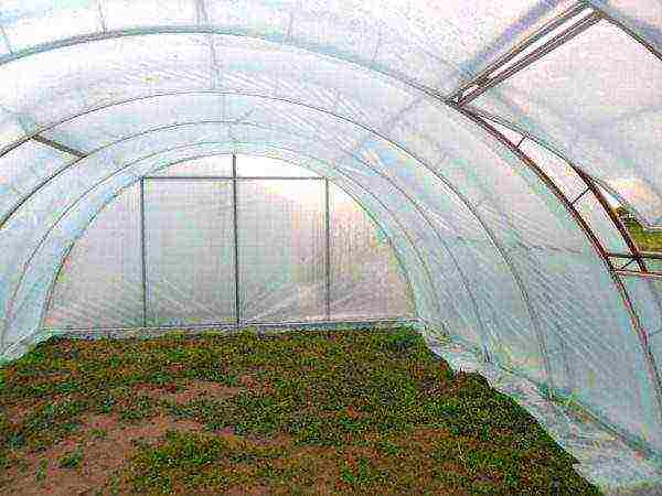 Double Coated Greenhouse