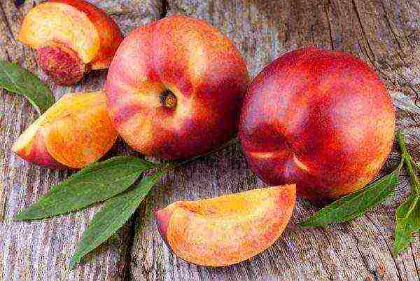 Nectarine is more dietary than peach, although it is sweeter