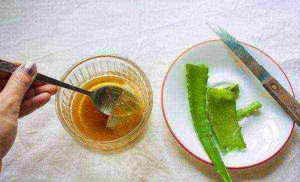 Aloe with honey for wound healing