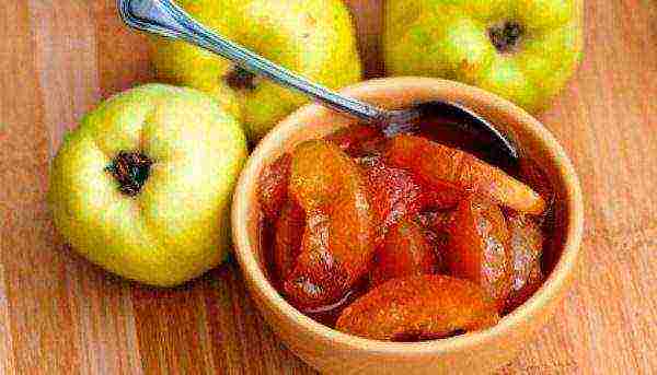 During pregnancy, for disorders of the gastrointestinal tract, boiled quince fruits are recommended