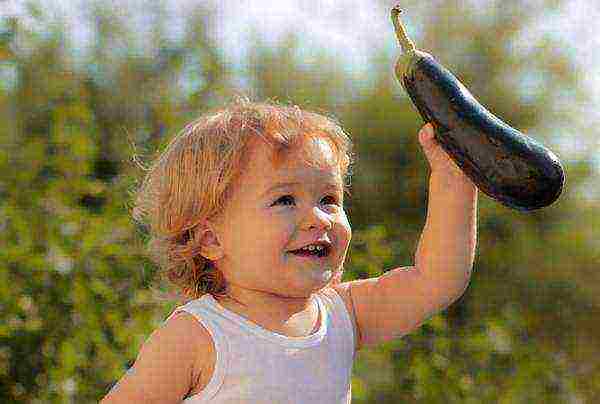 Until a year and a half, it is better not to include eggplants in the children's menu, do not eat raw