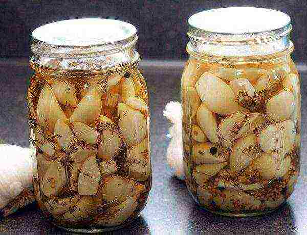 Garlic Canned for the Winter in Jars