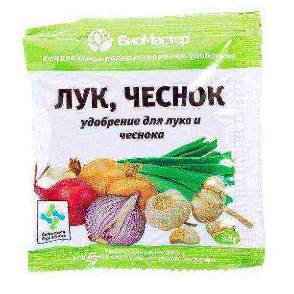 It is recommended to use special complex fertilizers for garlic.
