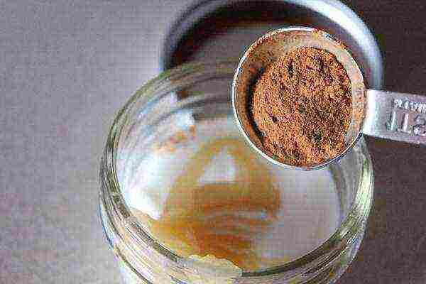 honey and cinnamon, mask to increase hair volume