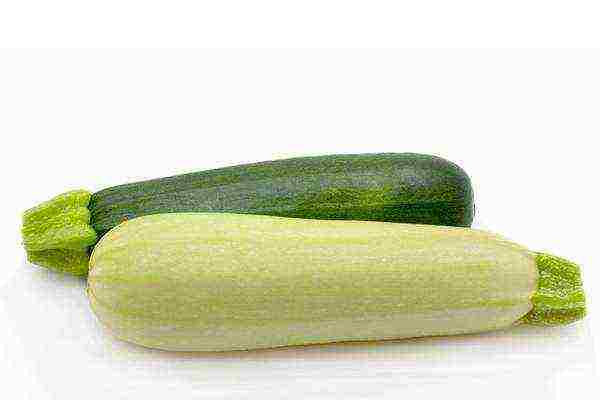 The difference in appearance between courgette and zucchini