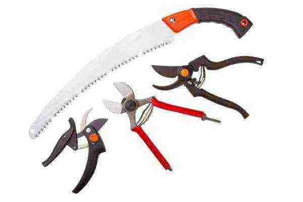 Pruner, hacksaw, garden knife and lopper need to be sharpened and sanitized