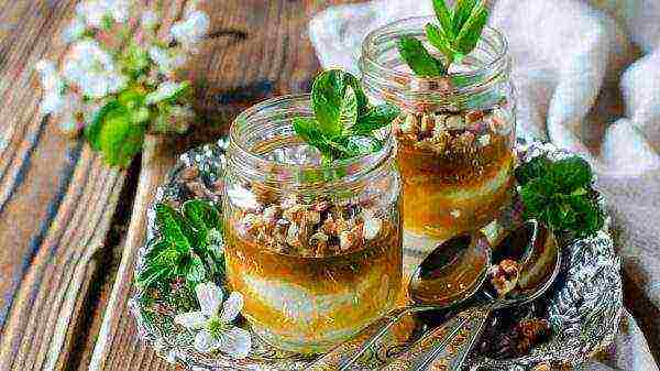 Delicious nut-honey dessert in jars