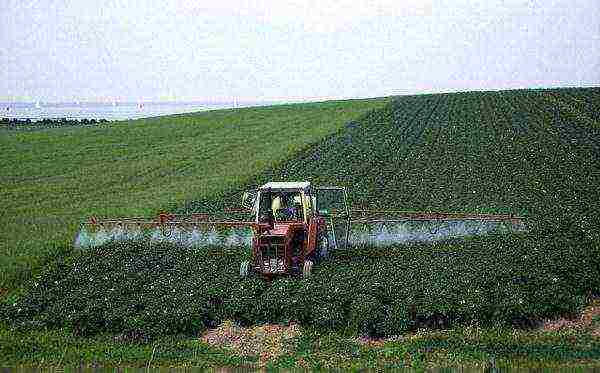 Čemu služe herbicidi?