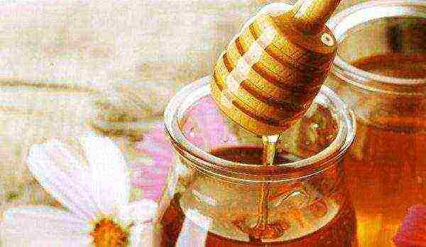 Useful properties of natural honey