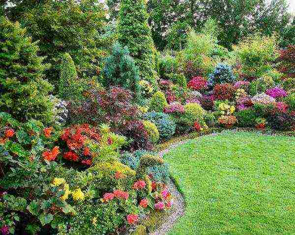 Ornamental shrubs and trees will decorate your summer cottage