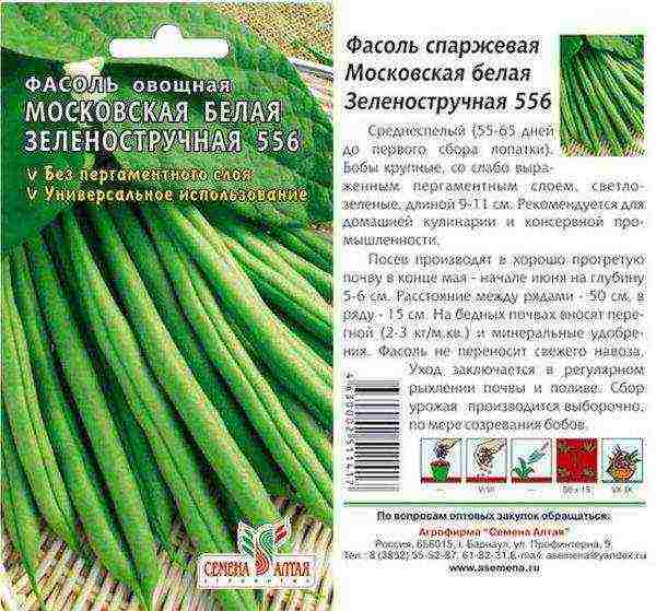 Moskovska bijela zelena mahuna 556