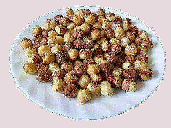 Mga peeled nut sa isang plato, handa nang kumain