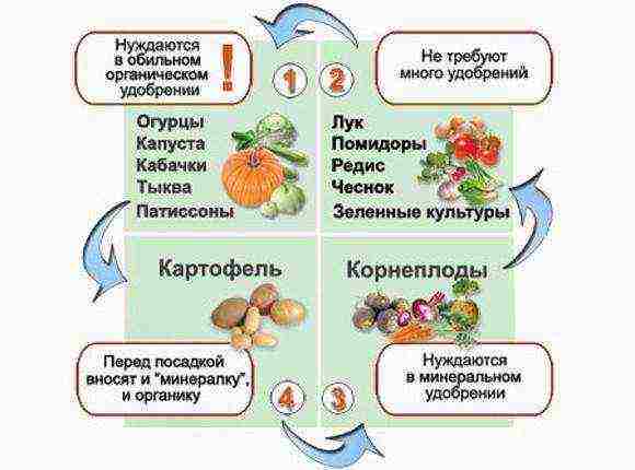 where is it better to grow vegetables in a greenhouse or outdoors