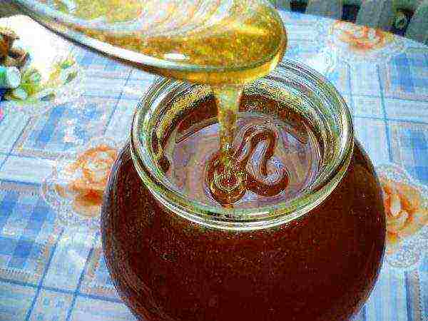 Mountain honey in a glass jar