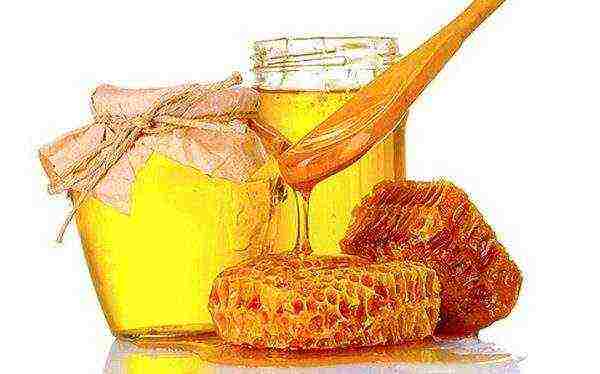 Honey in glass jars and honeycomb