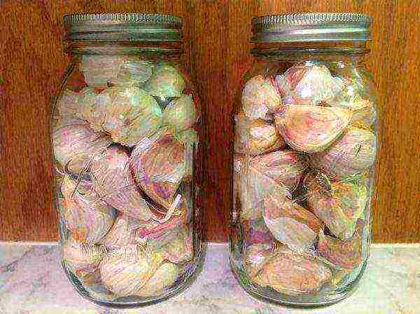 Garlic stored in jars