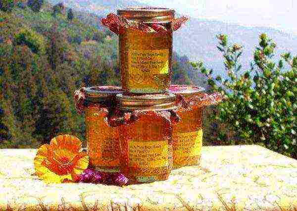 Packaged mountain honey in glass jars