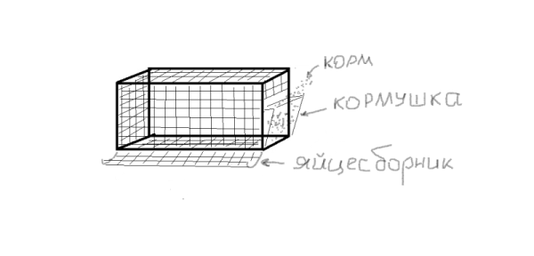 drawing of a chicken coop feeder