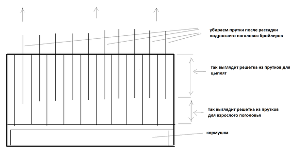 broiler cage