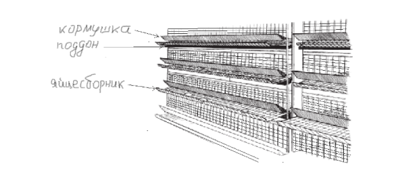 scheme for installing cages in a hen house with racks