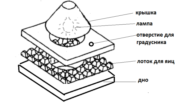 Incubator diagram from a cardboard box