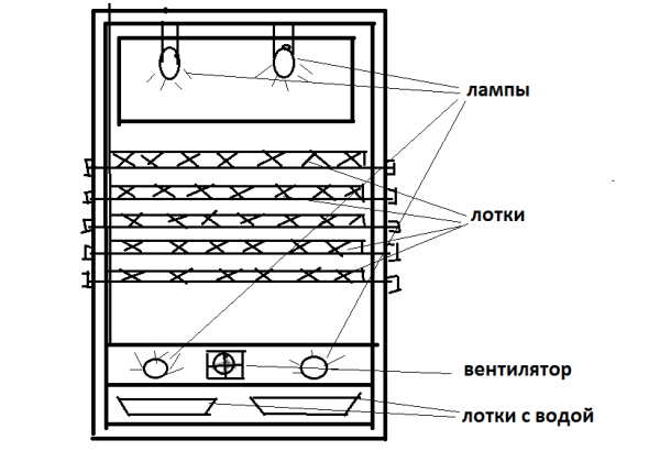 Refrigerator incubator diagram